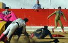 Fotos de la novillada y la cornada a Miguel Serrano en Peralta. /
