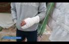 Uno de ellos permanece en el hospital, con una herida de arma blanca, y el otro presenta una fractura en la mano