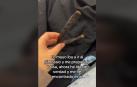 Imagen del plátano que se encontró en la bolsa de deporte la joven pamplonesa