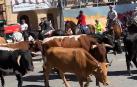 La localidad de Lodosa ha celebrado este domingo la trashumancia, un recorrido que ha dado inicio con un almuerzo a las 9:30 h. en la Plaza de Toros y ha terminado con un paseo por el pueblo en torno a las 13:30 h. para que, quien quisiera, pudiera ver tanto al ganado como a los jinetes que lo acompañaban