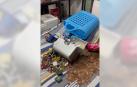 Vídeo del domicilio asaltado para robar sólo 10 euros