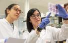 La Universidad de Navarra destaca, a nivel internacional, en calidad de la investigación, colaboración con la industria y orientación internacional