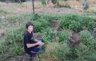 Nazaret Martin explica cómo evitar que los tomates se pudran en el huerto