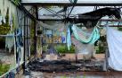 Zona de los invernaderos de Aranzadi incendiada el sábado