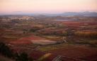 Paisaje de otoño en los viñedos de la Rioja Alta