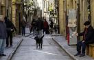 Varias personas transitan por una calle comercial en Olite