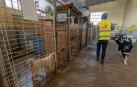 *A:MONTXO A.G.
*F: 2024-02-15
*L: ESTELLA-LIZARRA
*T: INSTALACIONES DE EGAPELUDOS SECCION PERROS EN EL SILO DE MERKATONDOA
*P:
