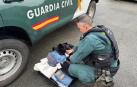 Imagen de un agente de la Guardia Civil con la maleta donde escondieron lo sustraído