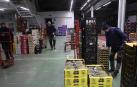 Varios trabajadores recogen fruta en la mañana del día de Nochevieja en Mercairuña
