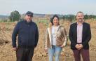 Plantación en Canraso