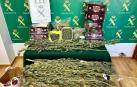 Localizado un punto de cultivo y secado de marihuana en un trastero en Berriozar