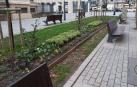Aspecto que lucen los nuevos parterres en avenida de Roncesvalles