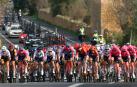 Imagen del pelotón a su paso por Santa María del Camí, durante la tercera prueba Binissalem - Port d Andratx de la II Garden Hotels-Luxcom Challenge Ciclista Mallorca
