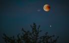 El eclipse lunar total producirá la denominada Luna de Sangre