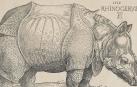 El famoso grabado de Alberto Durero 'El rinoceronte' (1515)