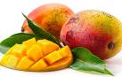 Imagen de archivo de varios mangos