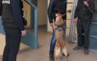 Momento de las prácticas del curso con perro de Policía Foral