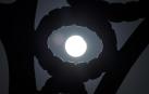 Foto del eclipse solar del 29 de marzo de 2025./