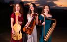 El grupo Hespérides actúa hoy en el Museo de Navarra.