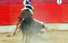 Corrida de rejones en Corella este jueves 1 de mayo con toros de Rosa Rodrigues para Guillermo Hermoso de Mendoza y Sergio Pérez de Gregorio /