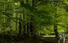 *A:MONTXO A.G.
*F: 2025-05-03
*L: SIERRA DE URBASA
*T: TURISMO
*P: