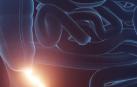 El apéndice es una pequeña bolsa con forma de dedo que se encuentra donde el intestino delgado se une al intestino grueso, en el ciego