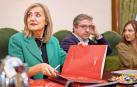 La portavoz de UPN, Cristina Ibarrola, con sus compañeros de filas Carlos Salvador e Izaskun Zozaya, en el pleno de este jueves