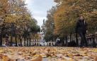 Hojas sobre el pavimento del paseo de Sarasate en una imagen otoñal de hace unos días