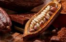 Chocolate, en diferentes formas