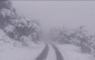 La primera nevada de la temporada ha dejado una estampa invernal en las laderas de San Cristóbal