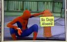 Dio vida al primer Spider-Man de imagen real en una serie de piezas cómicas y educativas en las que no hablaba, sino que se comunicaba mediante bocadillos de cómic