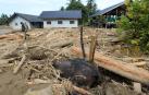 Las inundaciones entierran a un elefante de varias toneladas en Indonesia