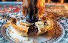 Un perro mete el morro en un plato con restos de comida