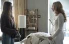 'The Housemaid' protagonizada por donde Sydney Sweeney, Millie Calloway y Amanda Seyfried, llega a los cines
