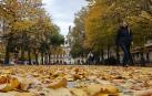 Imagen otoñal del paseo de Sarasate, del pasado noviembre, con un pavimento alfombrado por las hojas de sus árboles