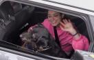 Pie de fotoEl perro 'Boro' desaparecido tras el accidente de trenes de Ademuz del domingo fue rescatado este jueves y pudo volver con su familia