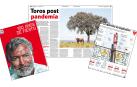 Portada y páginas del suplemento de San Fermín 2026 de Diario de Navarra