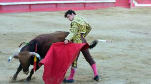 Toros de la Dehesa de Guadarrama para los novilleros forales Aarón Navas, Pablo Hernández y Pacho Jiménez en la novillada de fiestas de Sangüesa el 15 de septiembre