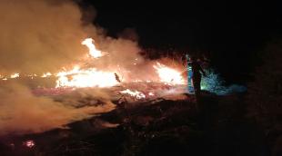 Extinguido un incendio de carrizos cerca de una granja en Cadreita