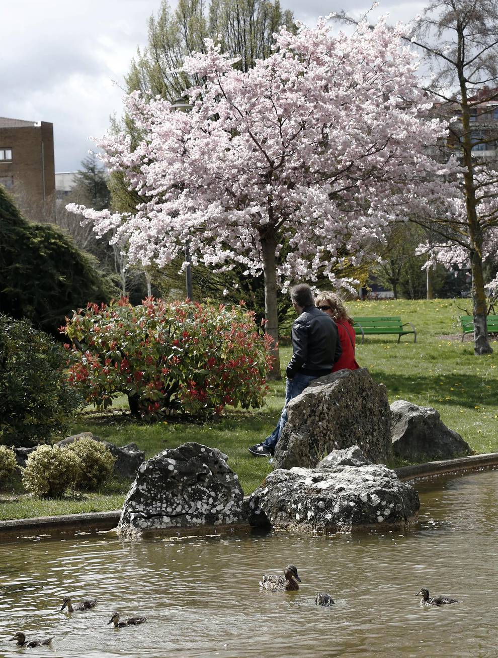 Parque de Yamaguchi