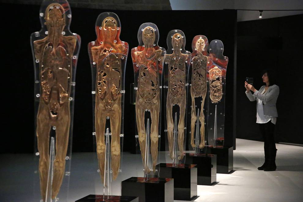 Fotos de la exposición Human Bodies en Baluarte