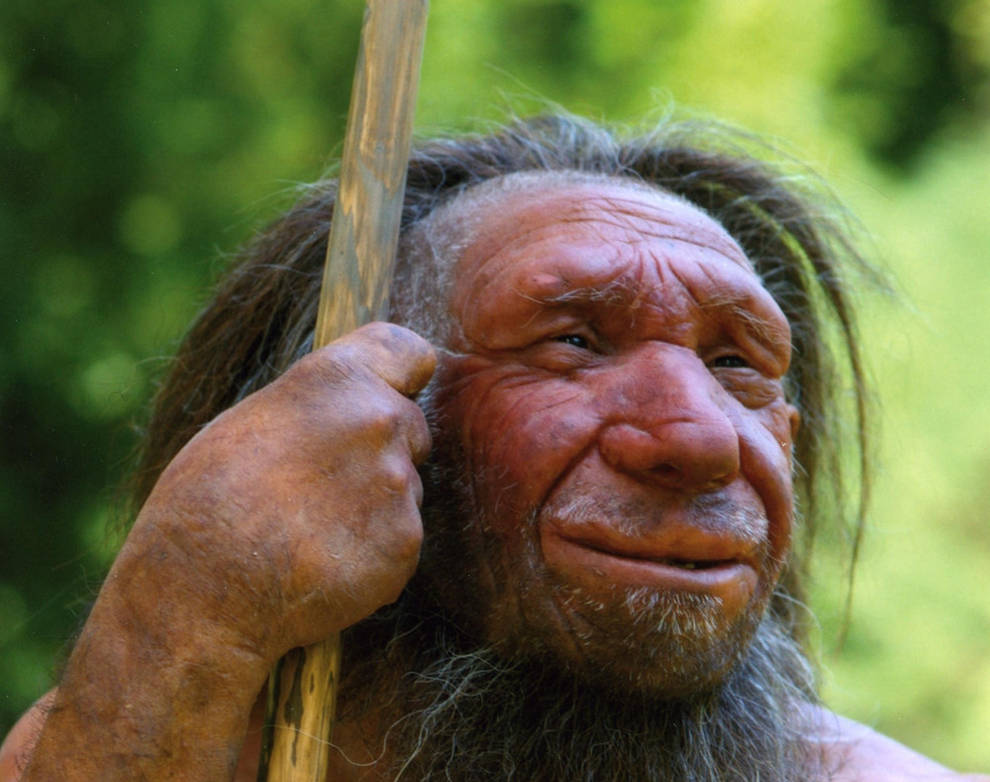 ¿Cómo cocinaban los neandertales? Los científicos lo investigan ...