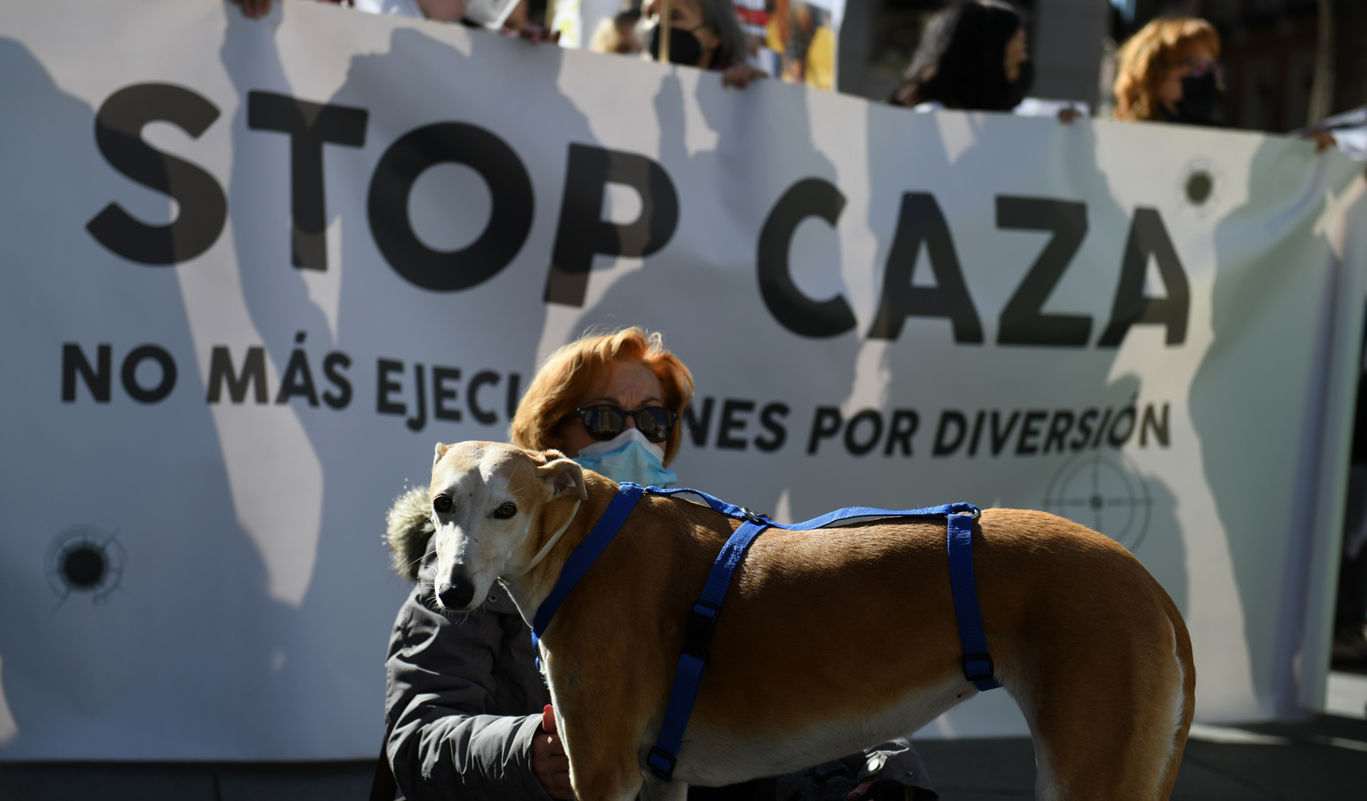 Piden en Pamplona protección de los perros de caza en la nueva Ley de