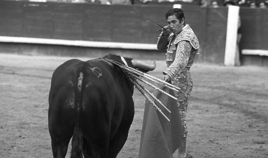 Fallece a los 84 años Paco Camino, uno de los más grandes toreros de la ...